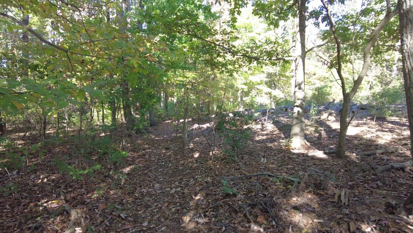 A woodland trail in Cheverly's Nature Park